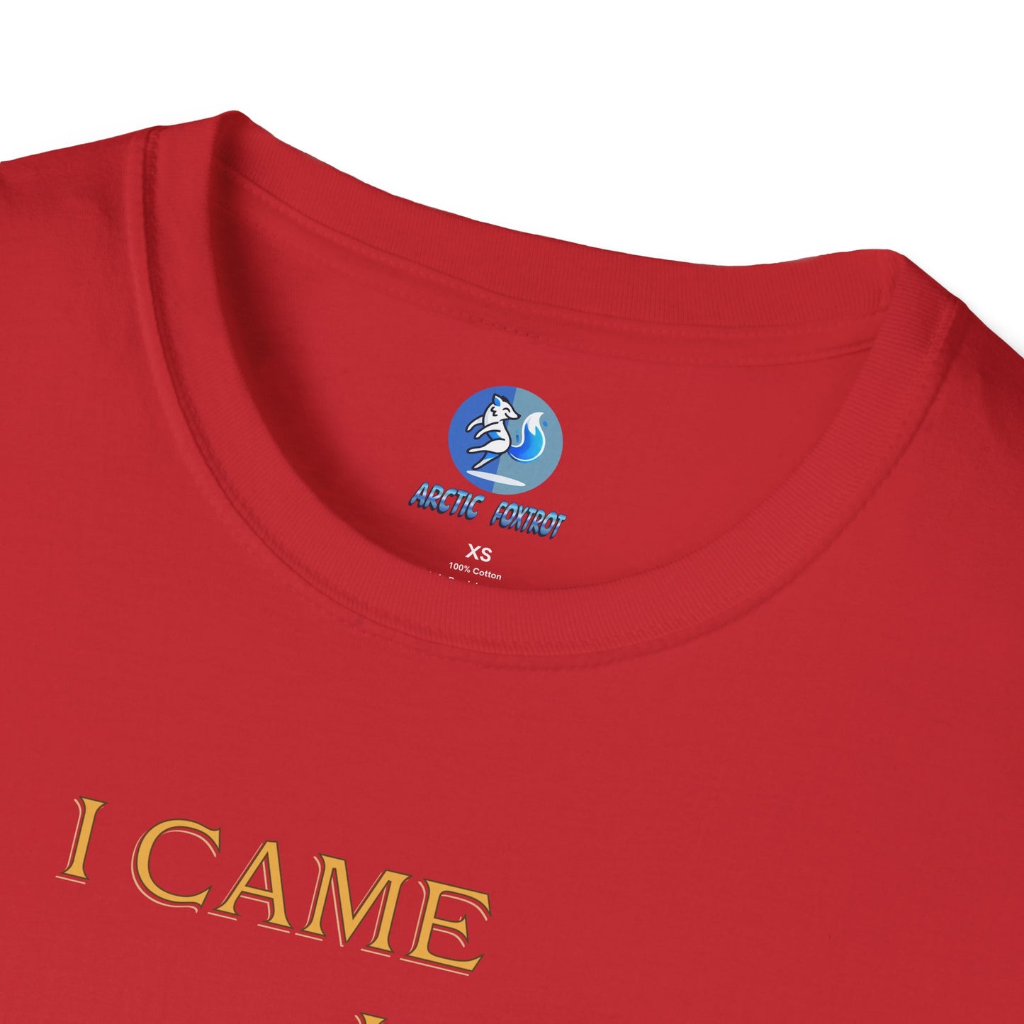 I came, I saw, I complained - Unisex Softstyle T-Shirt